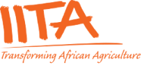 IITA IITA